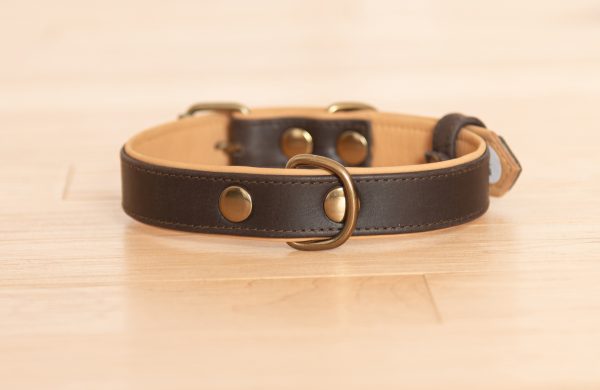 Dark brown leather dog collar with tan inner padding and brass hardware, handmade and adjustable for dogs of all sizes.