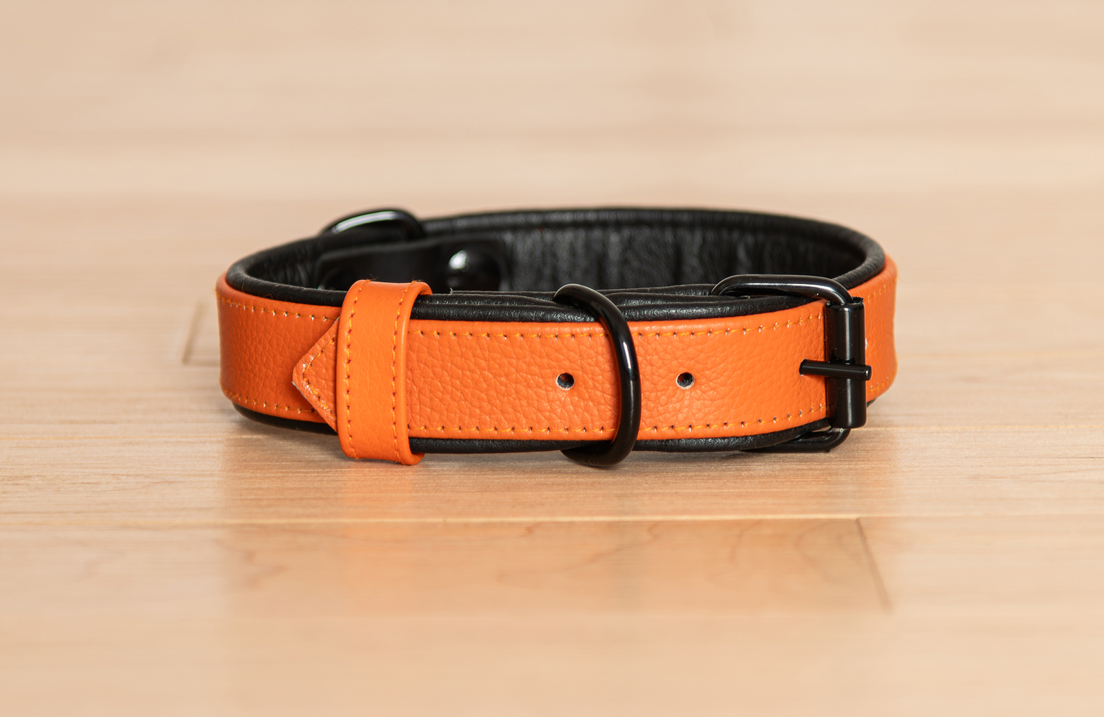 Orange leather dog collar with black padded inner liner and matte black hardware, designed for style, comfort, and secure adjustable fit.