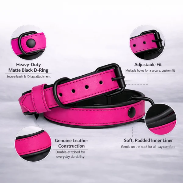 Pink Collar Detail