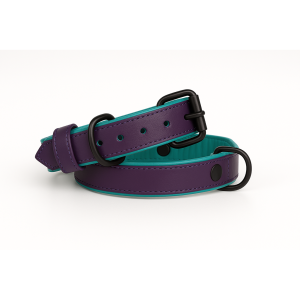 Purple leather dog collar with teal padded inner liner and black rust-resistant hardware, handmade and adjustable for all dog sizes.
