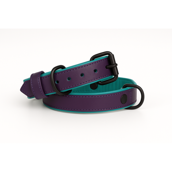 Purple Leather Dog Collar Purple leather dog collar with teal padded inner liner and black rust-resistant hardware, handmade and adjustable for all dog sizes.