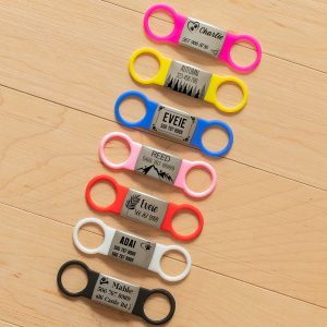 Dog Name Tags